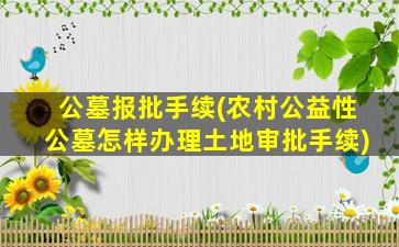公墓报批手续(农村公益性公墓怎样办理土地审批手续)