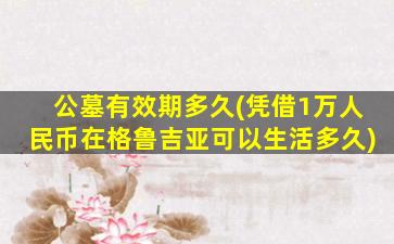 公墓有效期多久(凭借1万人民币在格鲁吉亚可以生活多久)