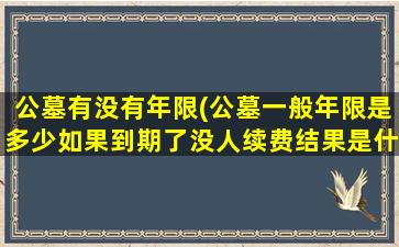 公墓有没有年限(公墓一般年限是多少如果到期了没人续费结果是什么)