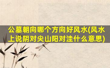公墓朝向哪个方向好风水(风水上说阴对尖山阳对洼什么意思)