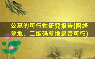 公墓的可行性研究报告(网络墓地、二维码墓地是否可行)