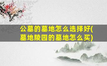 公墓的墓地怎么选择好(墓地陵园的墓地怎么买)