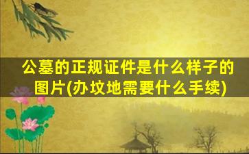 公墓的正规证件是什么样子的图片(办坟地需要什么手续)