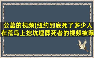 公墓的视频(纽约到底死了多少人在荒岛上挖坑埋葬死者的视频被曝光)