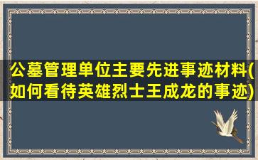 公墓管理单位主要先进事迹材料(如何看待英雄烈士王成龙的事迹)