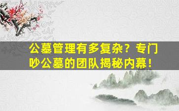 公墓管理有多复杂？专门吵公墓的团队揭秘内幕！