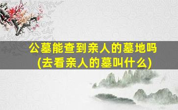 公墓能查到亲人的墓地吗(去看亲人的墓叫什么)