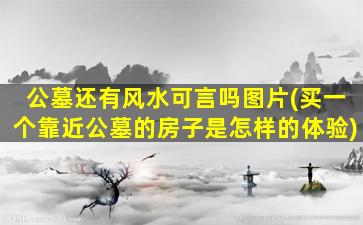 公墓还有风水可言吗图片(买一个靠近公墓的房子是怎样的体验)