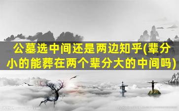 公墓选中间还是两边知乎(辈分小的能葬在两个辈分大的中间吗)