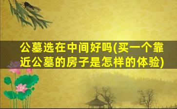公墓选在中间好吗(买一个靠近公墓的房子是怎样的体验)