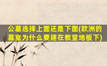 公墓选择上面还是下面(欧洲的墓室为什么要建在教堂地板下)