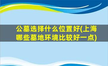 公墓选择什么位置好(上海哪些墓地环境比较好一点)
