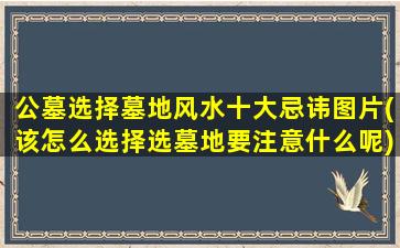 公墓选择墓地风水十大忌讳图片(该怎么选择选墓地要注意什么呢)