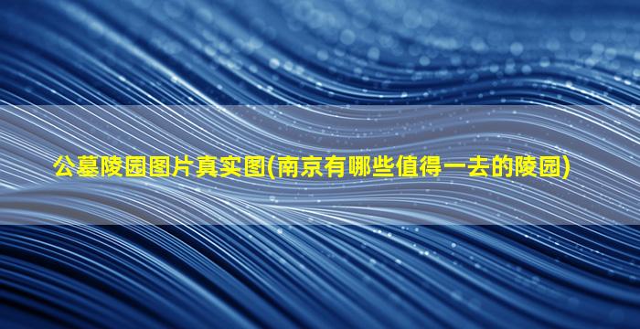 公墓陵园图片真实图(南京有哪些值得一去的陵园)
