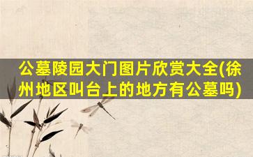 公墓陵园大门图片欣赏大全(徐州地区叫台上的地方有公墓吗)