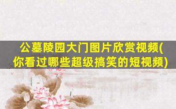 公墓陵园大门图片欣赏视频(你看过哪些超级搞笑的短视频)