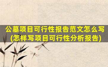 公墓项目可行性报告范文怎么写(怎样写项目可行性分析报告)