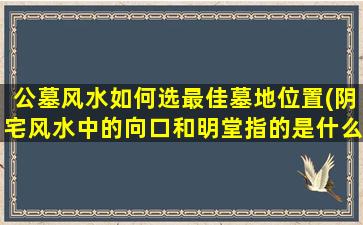 公墓风水如何选最佳墓地位置(阴宅风水中的向口和明堂指的是什么)