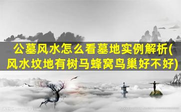 公墓风水怎么看墓地实例解析(风水坟地有树马蜂窝鸟巢好不好)