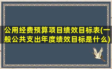 公用经费预算项目绩效目标表(一般公共支出年度绩效目标是什么)
