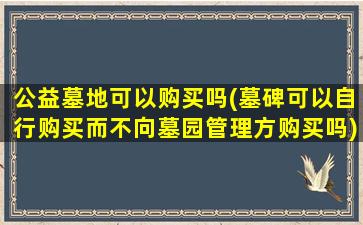 公益墓地可以购买吗(墓碑可以自行购买而不向墓园管理方购买吗)
