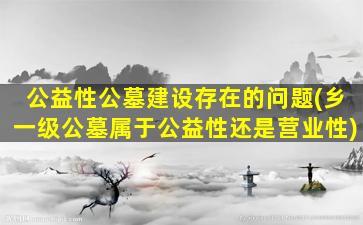 公益性公墓建设存在的问题(乡一级公墓属于公益性还是营业性)