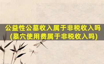 公益性公墓收入属于非税收入吗(墓穴使用费属于非税收入吗)