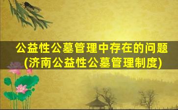 公益性公墓管理中存在的问题(济南公益性公墓管理制度)