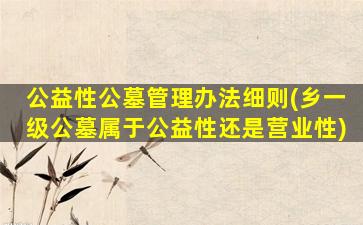公益性公墓管理办法细则(乡一级公墓属于公益性还是营业性)