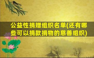 公益性捐赠组织名单(还有哪些可以捐款捐物的慈善组织)