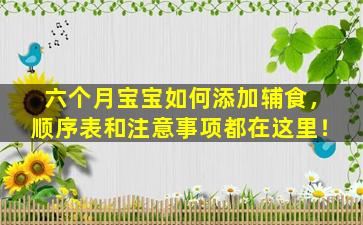 六个月宝宝如何添加辅食，顺序表和注意事项都在这里！
