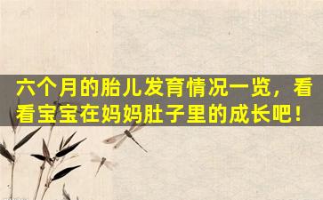 六个月的胎儿发育情况一览，看看宝宝在妈妈肚子里的成长吧！