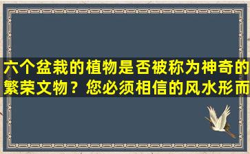 六个盆栽的植物是否被称为神奇的繁荣文物？您必须相信的风水形而上学！