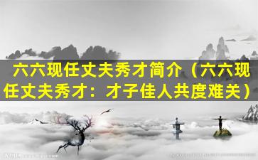 六六现任丈夫秀才简介（六六现任丈夫秀才：才子佳人共度难关）