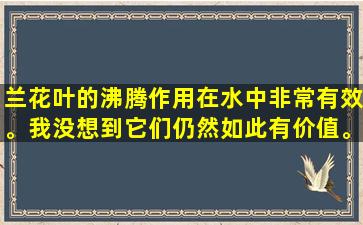 兰花叶的沸腾作用在水中非常有效。我没想到它们仍然如此有价值。让我们互相了解。