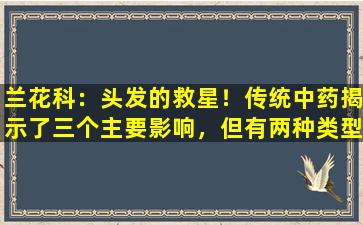 兰花科：头发的救星！传统中药揭示了三个主要影响，但有两种类型的人谨慎使用它们