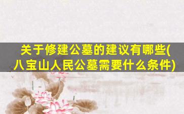 关于修建公墓的建议有哪些(八宝山人民公墓需要什么条件)