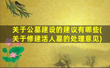 关于公墓建设的建议有哪些(关于修建活人墓的处理意见)
