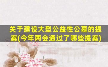 关于建设大型公益性公墓的提案(今年两会通过了哪些提案)