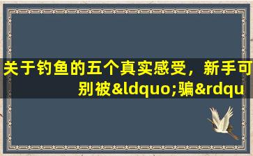 关于钓鱼的五个真实感受，新手可别被“骗”，钓鱼没那么好玩