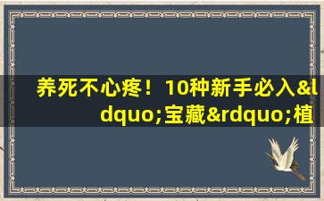 养死不心疼！10种新手必入“宝藏”植物，几块钱一盆，越养越值钱