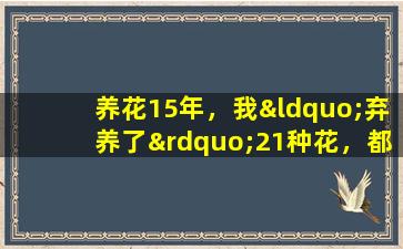 养花15年，我“弃养了”21种花，都是坑，养得“累心又难过”