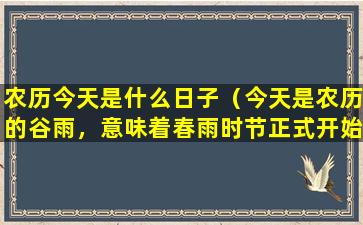 农历今天是什么日子（今天是农历的谷雨，意味着春雨时节正式开始，气温逐渐回升，大自然中的万物开始复苏。）