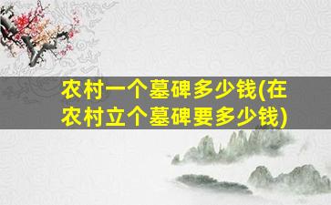 农村一个墓碑多少钱(在农村立个墓碑要多少钱)