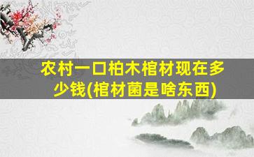 农村一口柏木棺材现在多少钱(棺材菌是啥东西)