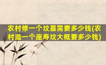 农村修一个坟墓需要多少钱(农村造一个座寿坟大概要多少钱)