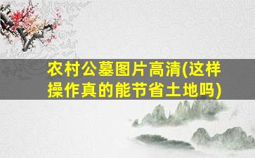 农村公墓图片高清(这样操作真的能节省土地吗)