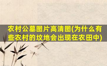 农村公墓图片高清图(为什么有些农村的坟地会出现在农田中)