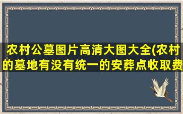 农村公墓图片高清大图大全(农村的墓地有没有统一的安葬点收取费用合理吗)