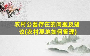 农村公墓存在的问题及建议(农村墓地如何管理)